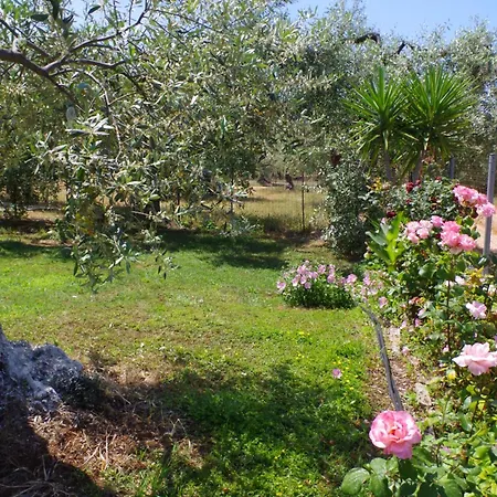 Ktima Aphroditi Apartamento *