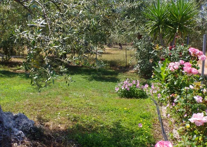 Ktima Aphroditi 公寓 *